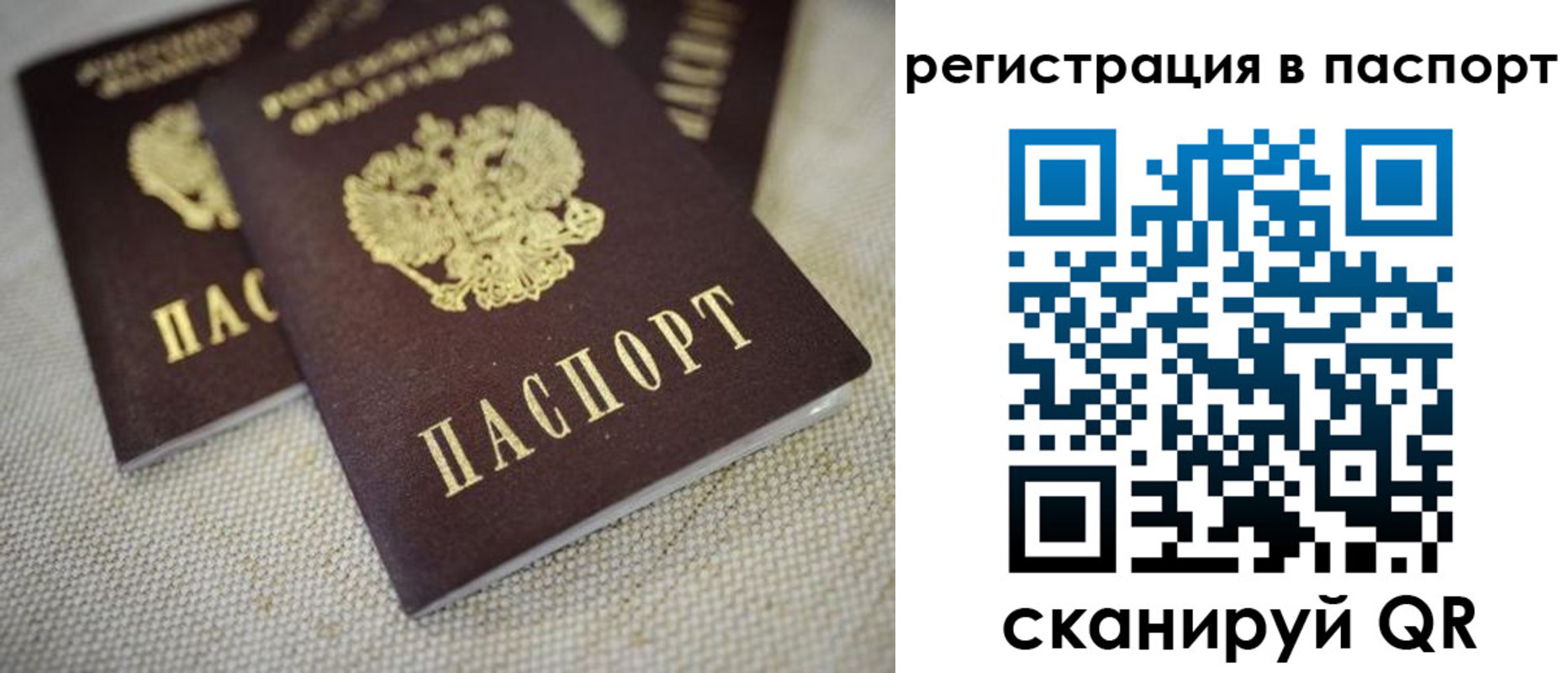 прописка гарантия в Касли